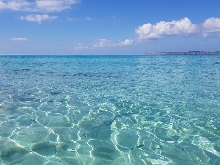 Transparentes aguas en la playa de Caló des Mort
